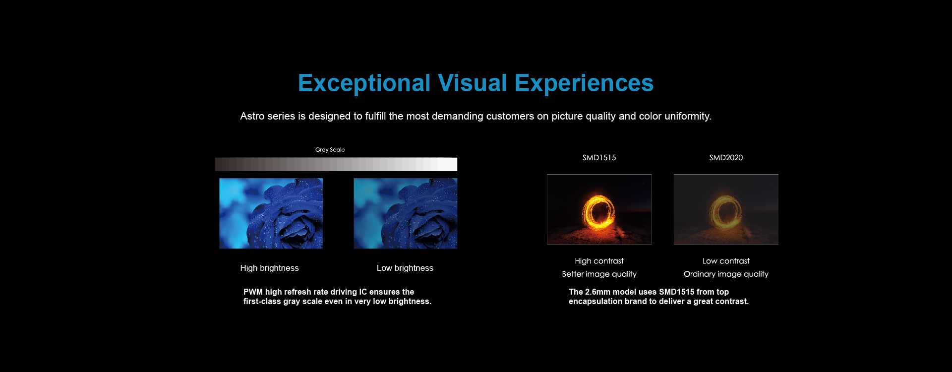Exceptional Visual Experiences